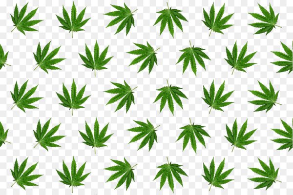 Официальный сайт кракен тор