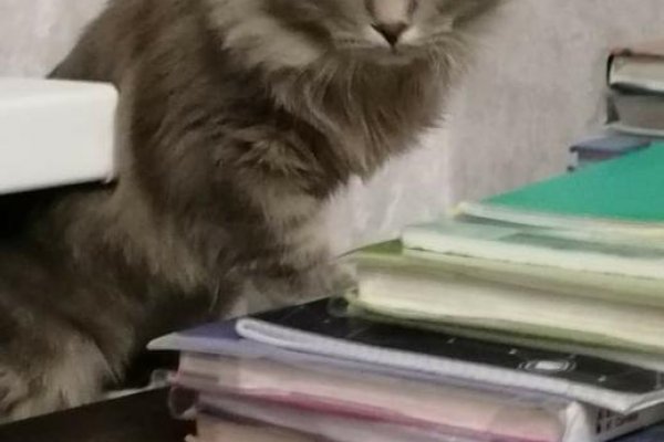 Кракен маркет наркотики