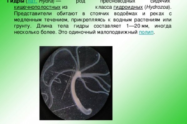 Кракен портал