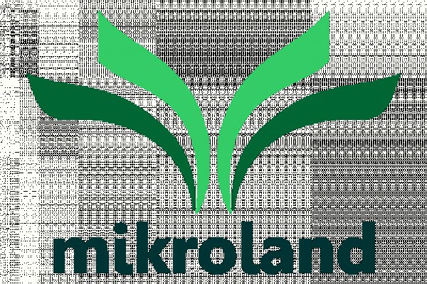 Кракен сайт vtor run