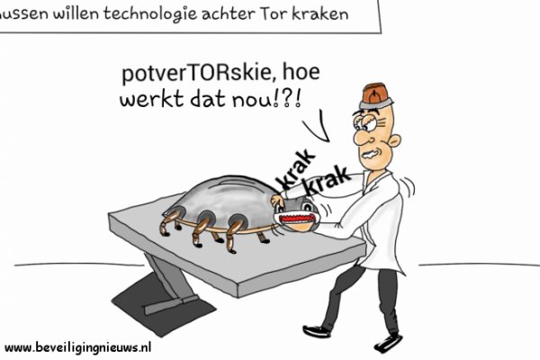 Актуальные ссылки на кракен тор