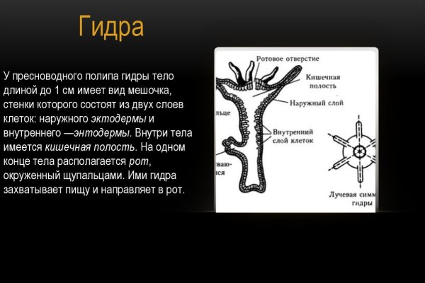 Актуальный сайт кракена