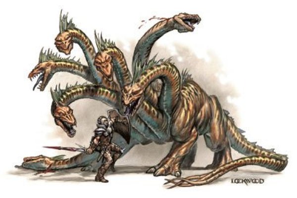 Kraken site