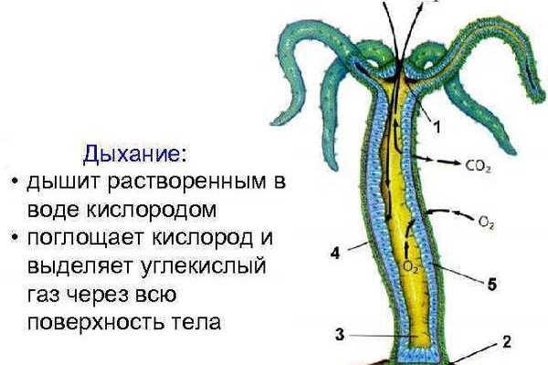 Кракен kr2web in магазин